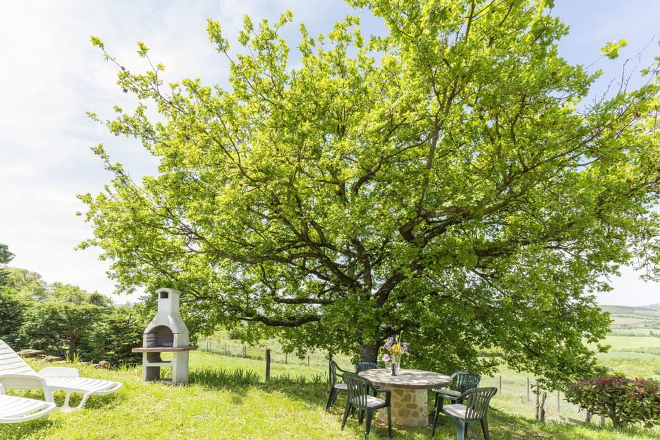 Autumn, Garden, Spring, Summer