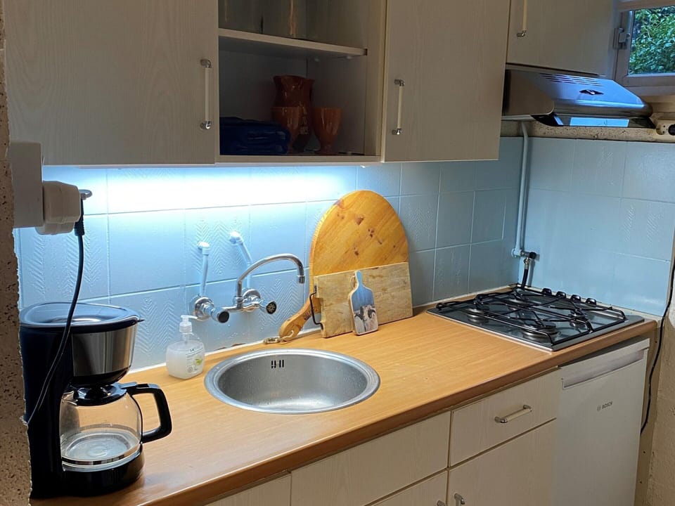 House | Private kitchen | Oven