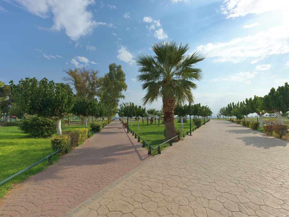 Children's activities