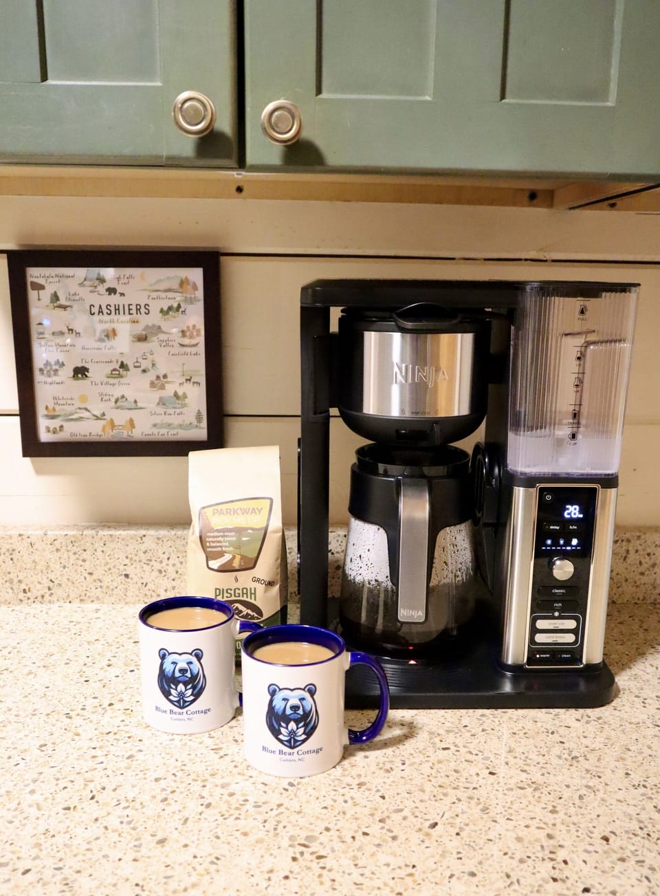 Ninja drip hot & cold coffee maker