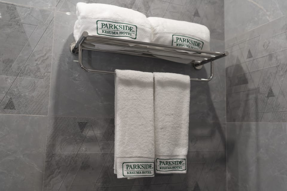 Deluxe Single Room | Bathroom | Shower, free toiletries, towels, soap