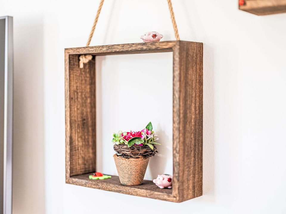 Flower, Plant, Flowerpot, Houseplant, Wood, Window, Rectangle, Vase, Interior Design, Wall
