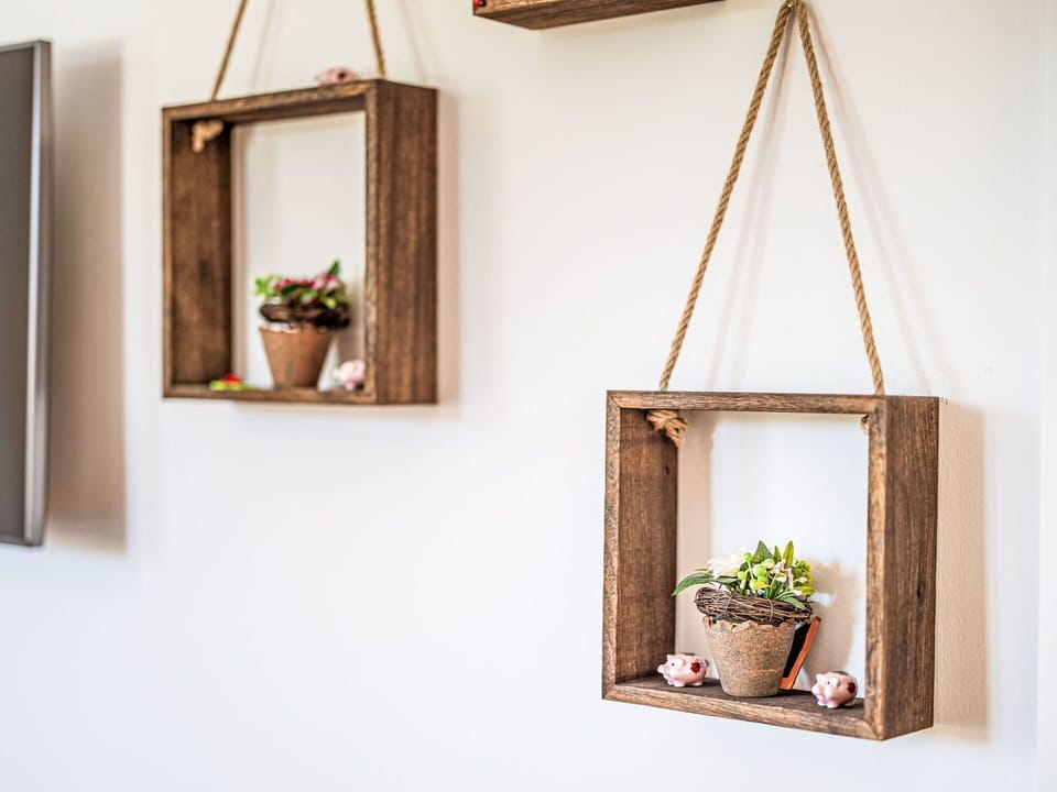 Plant, Property, Flowerpot, Houseplant, Flower, Wood, Window, Interior Design, Rectangle, Wall