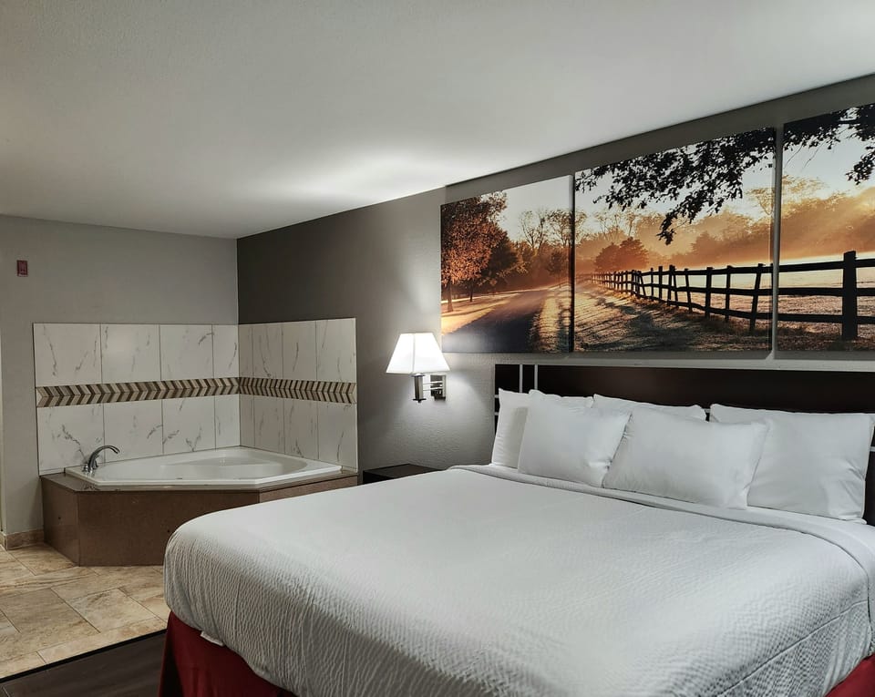Studio Suite, 1 King Bed, Non Smoking | WiFi (free), bed sheets