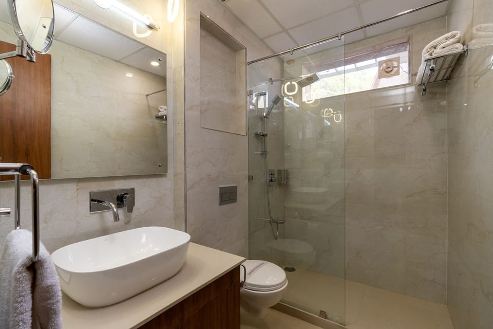 Shower, free toiletries, hair dryer, towels