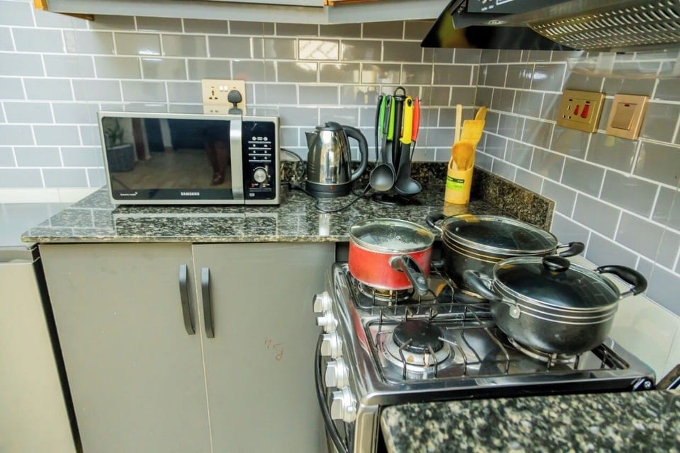 Economy Apartment, Balcony, City View | Private kitchen | Fridge, microwave, oven, stovetop