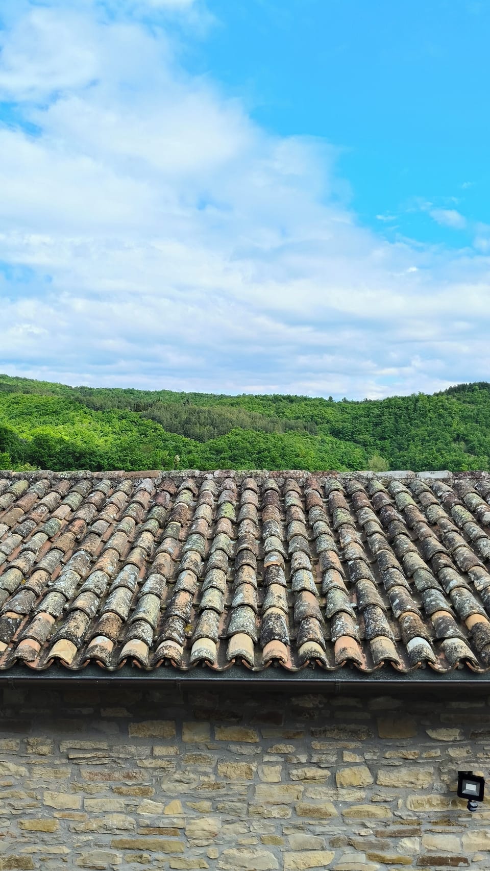 Comfort Apartment, 1 Bedroom, Mezzanine | Mountain view