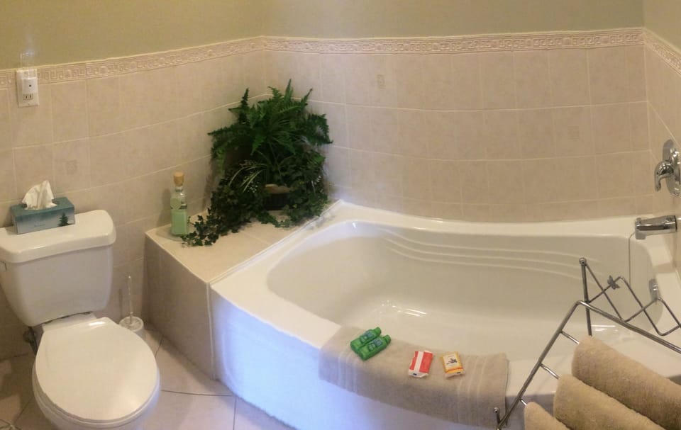 Standard Room, 1 King Bed | Deep soaking bathtub
