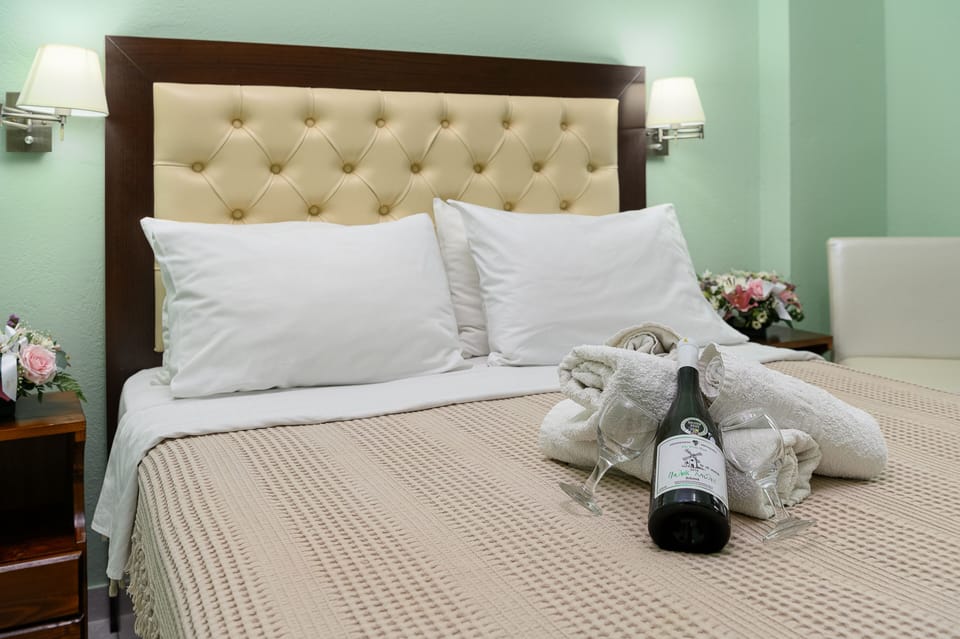 Small Double Room for Single Use, Garden View | Minibar, in-room safe, individually furnished, desk