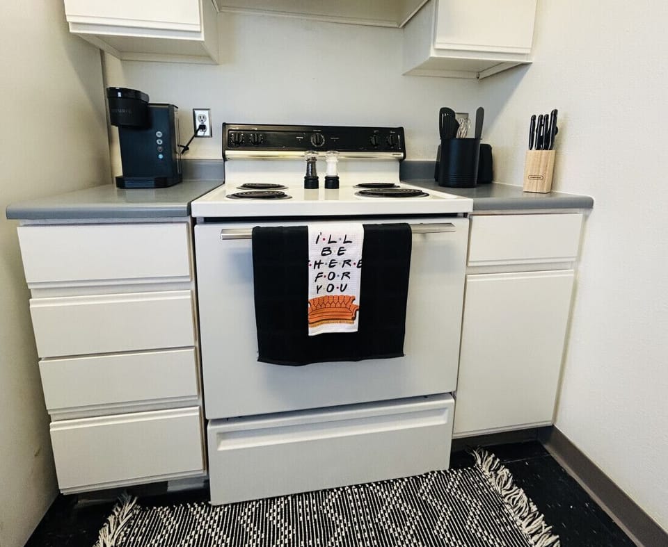 Electric oven/stove