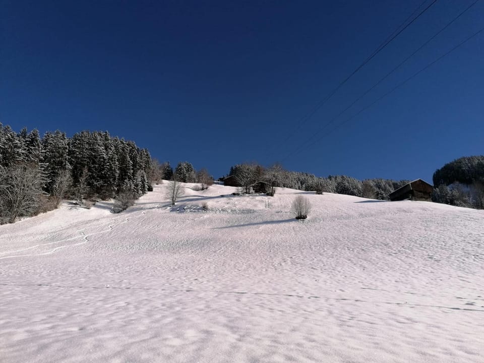 Immediate Surroundings [winter] (<1 km)