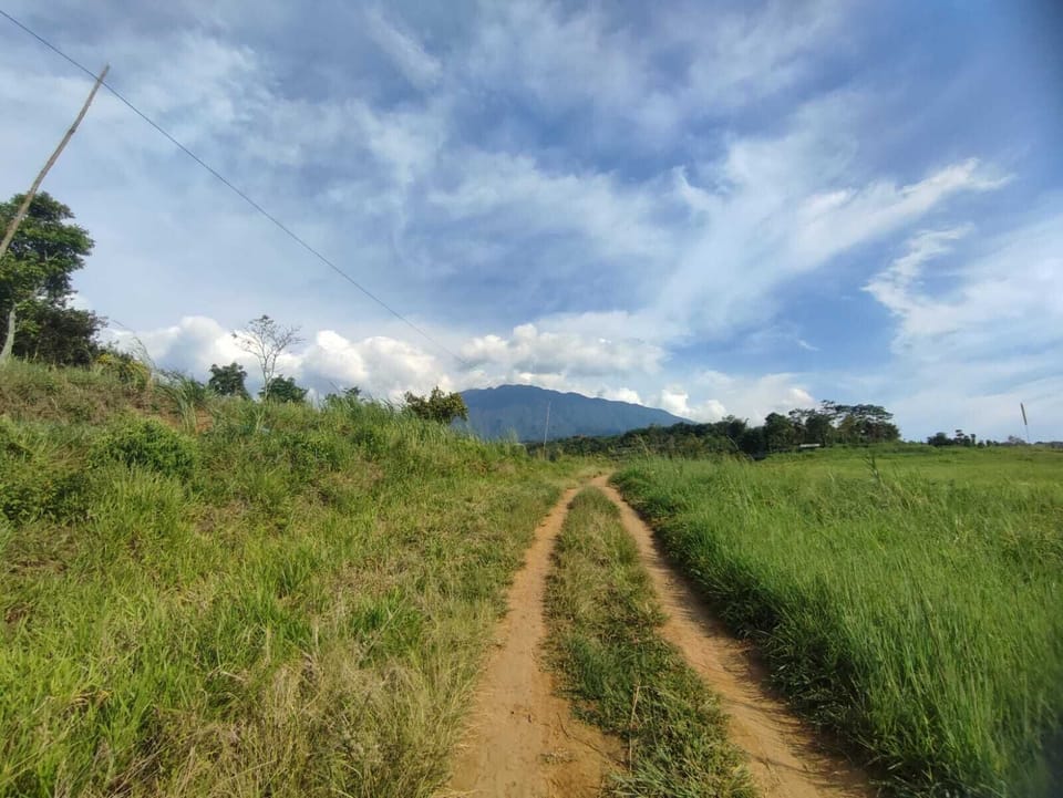 Land view from property