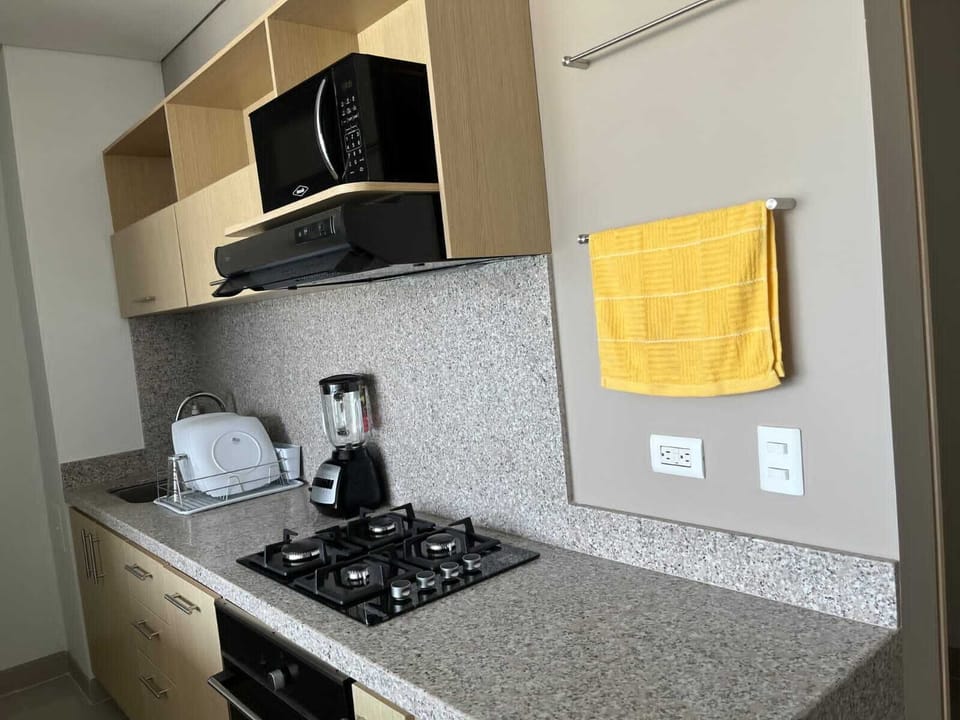 Deluxe Apartment, Oceanfront | Private kitchen | Full-size fridge, microwave, oven, stovetop