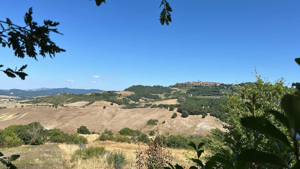 Land view from property