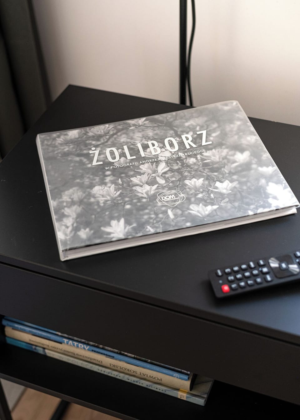 City Studio | Living area | 37-inch plasma TV with digital channels