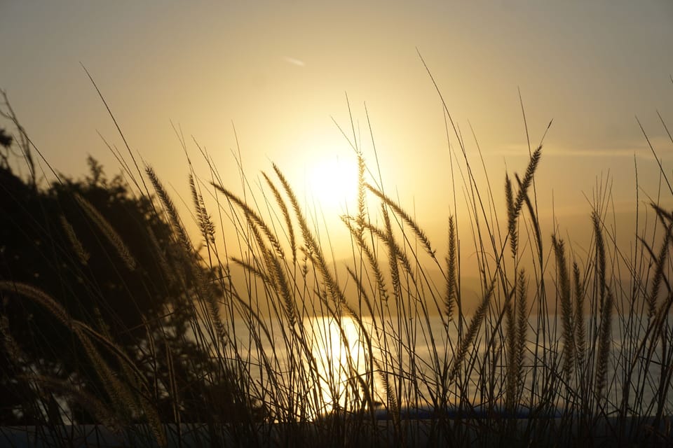 Gartensunset