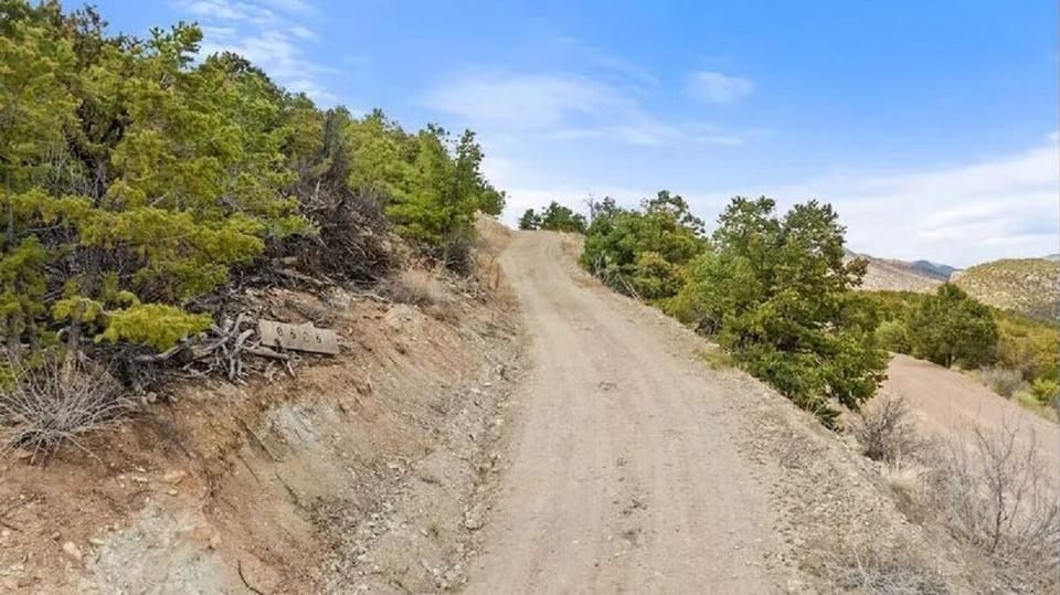 Driveway to Pinon Heights