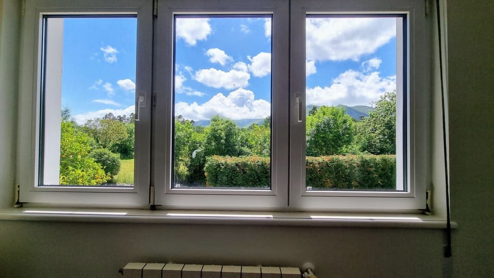Bird's eye view,Garden view