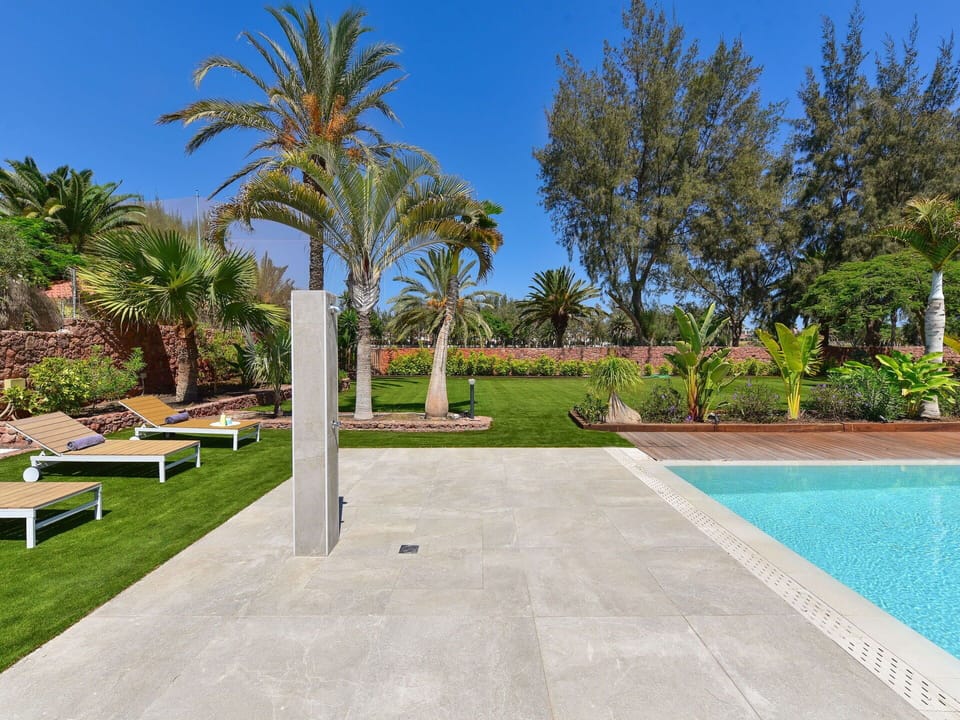 Plant, Sky, Tree, Shade, Land Lot, Building, Arecales, Grass, Leisure, Urban Design
