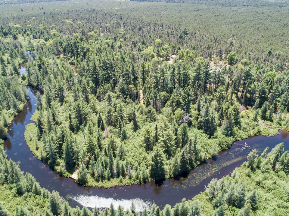 EXTERIOR:  Another view of Goose Creek.  (The lodge and the private deck on Goose Creek are both in the photo, but mostly hidden.)