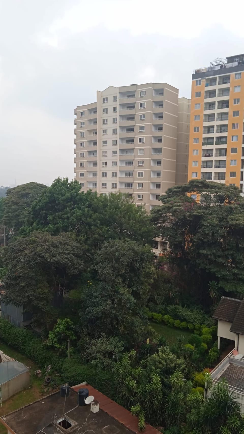 View from room