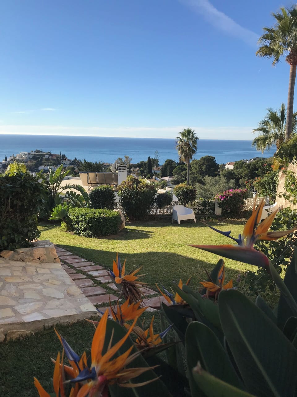 view from kitchen