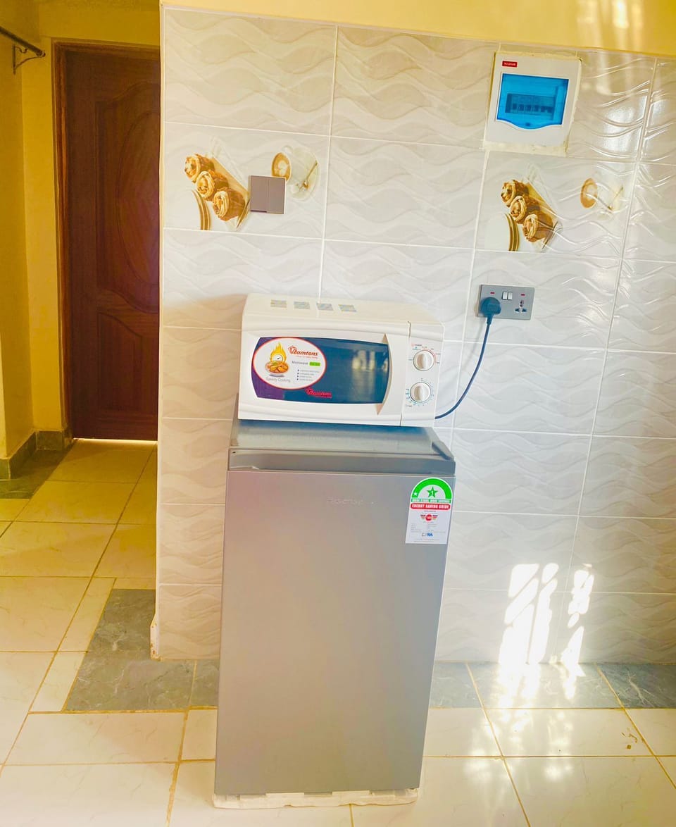 Deluxe Apartment, City View | Private kitchen | Fridge, microwave, cookware/dishes/utensils