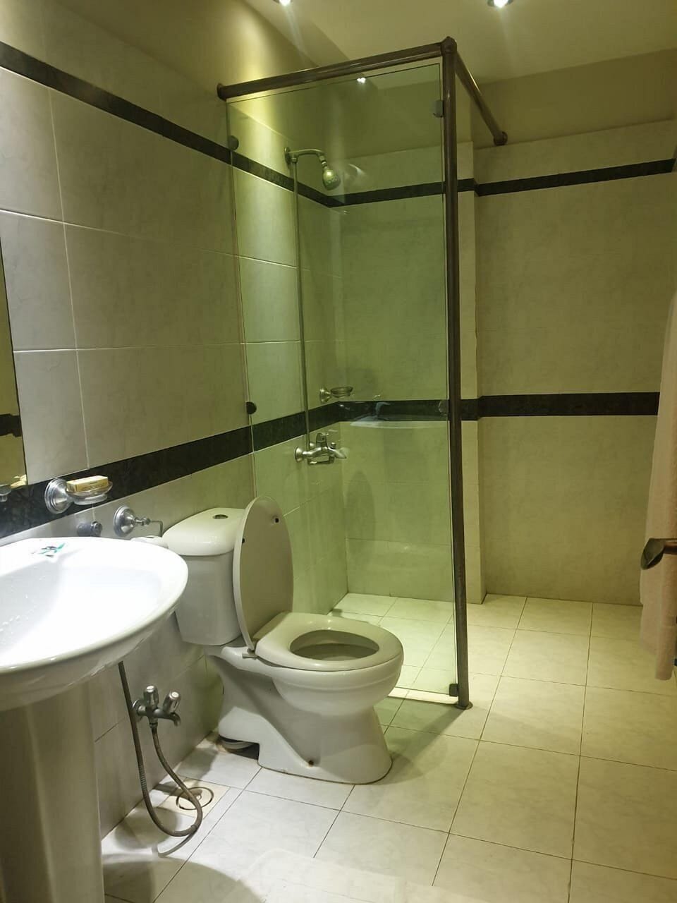 Combined shower/tub, hair dryer, towels