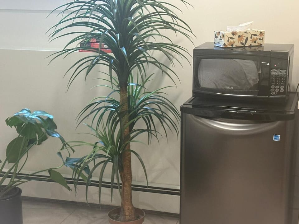 Microwave and mini Fridge