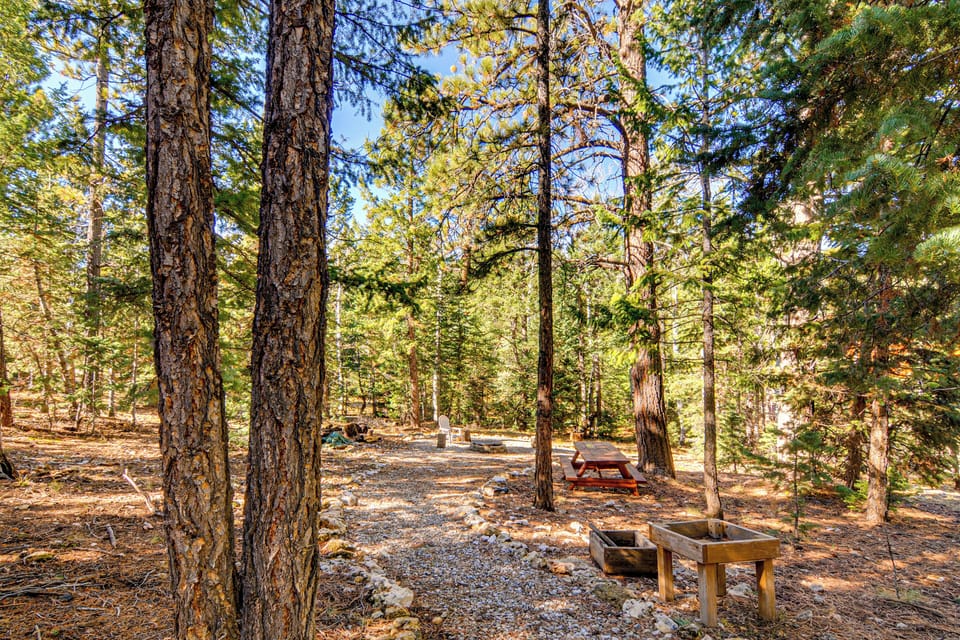 Backyard | Picnic Table