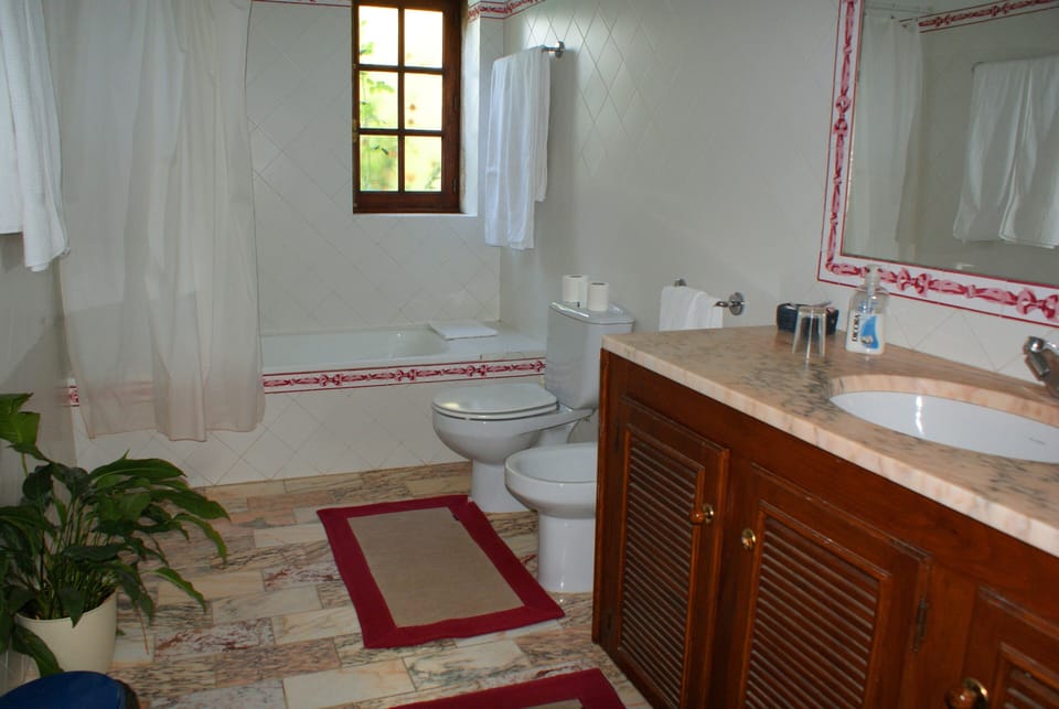 Hair dryer, bidet, towels