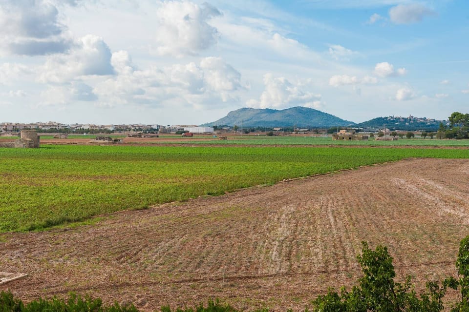 Surroundings [summer] (1-5 km)