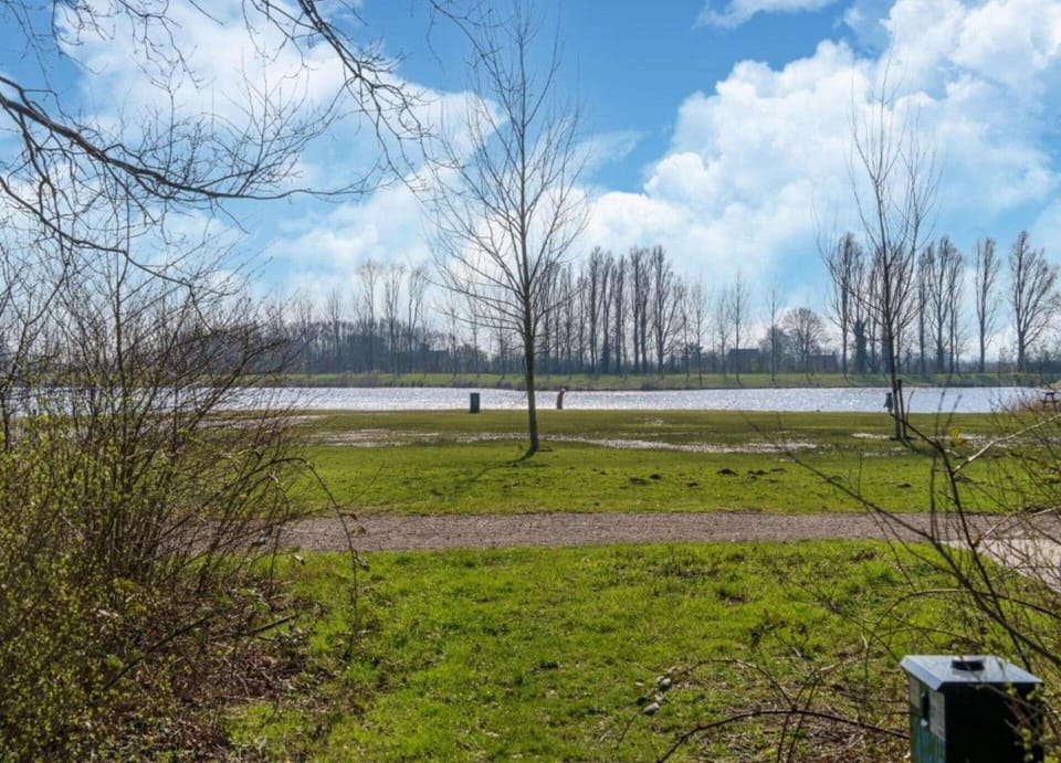 House | View from property