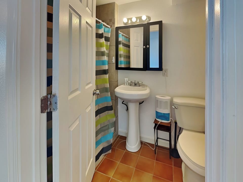 First Full Size Bathroom