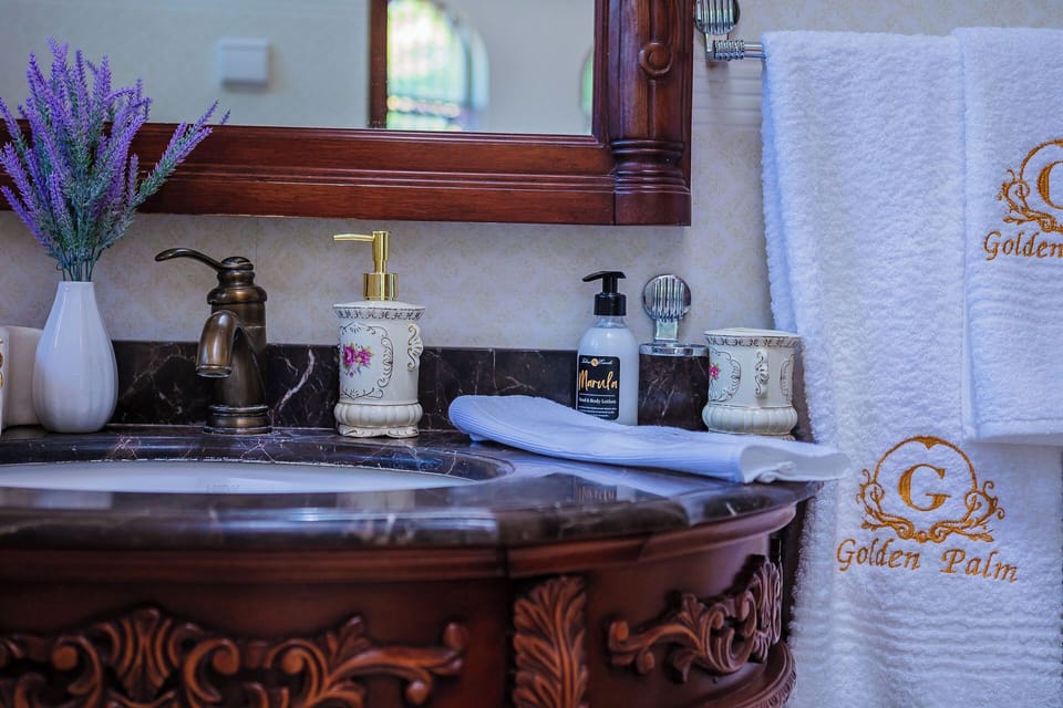 Hair dryer, soap, shampoo, toilet paper