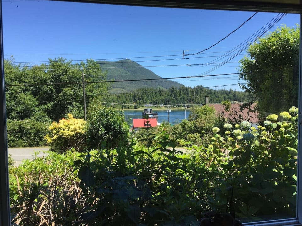 Harbour views from your suite