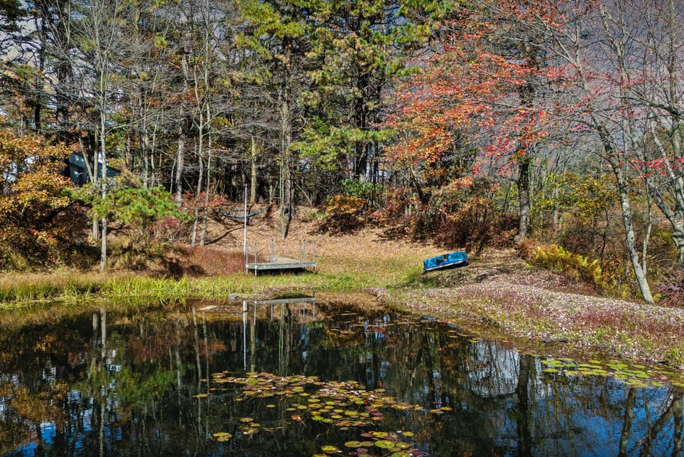 Pond right in your backyard.