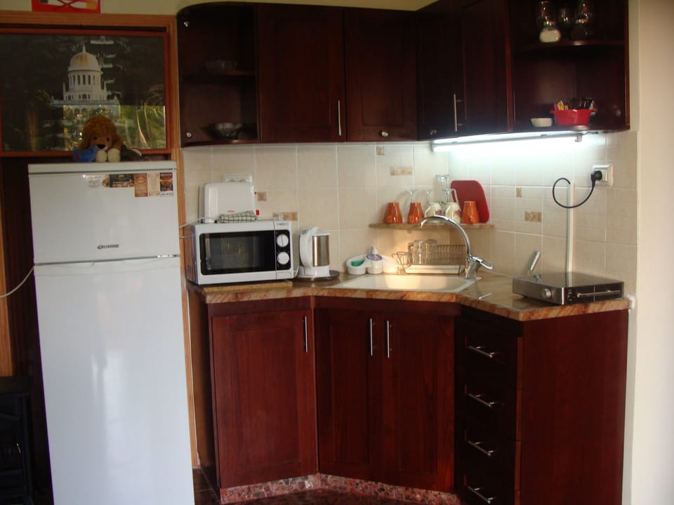 Minerva Suite - 2 Bedrooms | Private kitchen | Fridge, microwave, coffee/tea maker, electric kettle