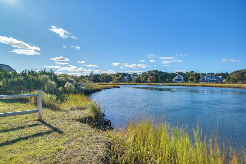 Walk to Pond