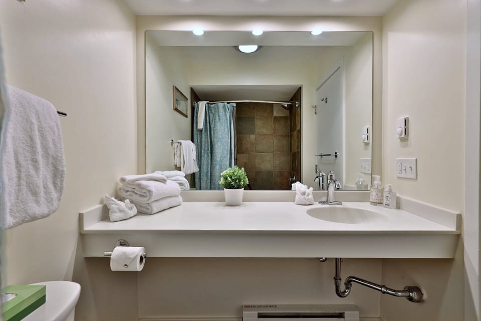 The mirror spans the vanity, with overhead lighting and counter space around the sink.