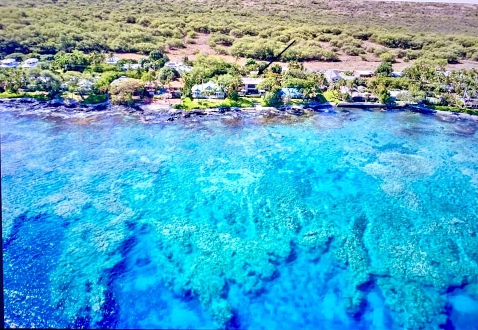 Pristine Coral Reef