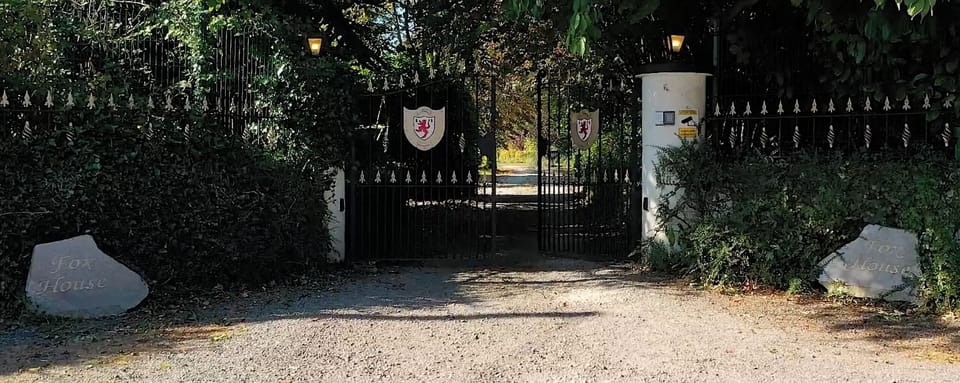 Electric Security Gates 