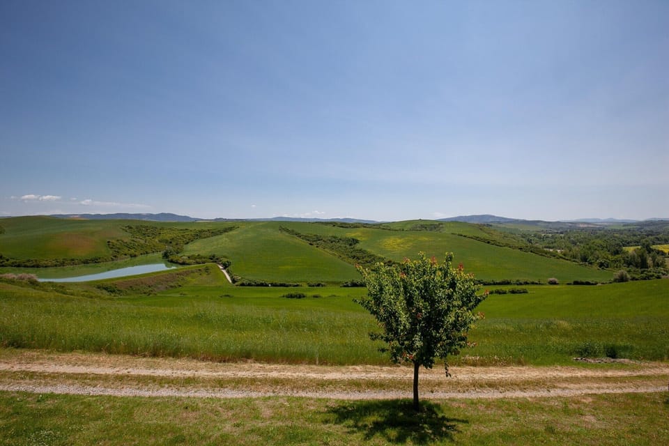 View from Holiday Home [summer]