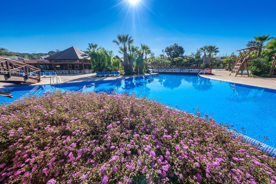 Holiday Home Swimming Pool
