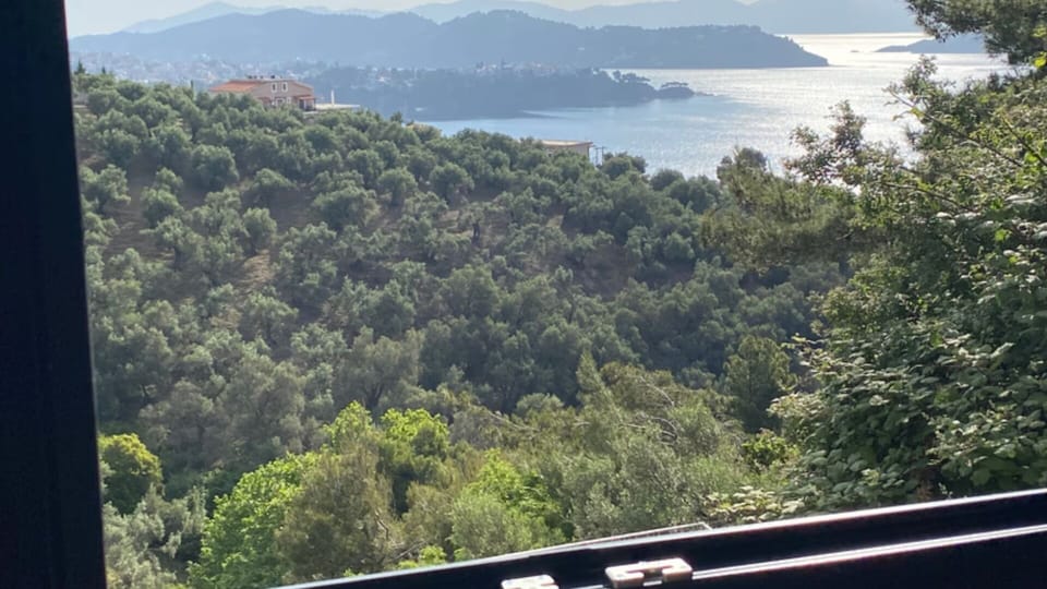 Room-cactus Suberb Suite With Private Po Bed and Breakfast in Sporades, Greece