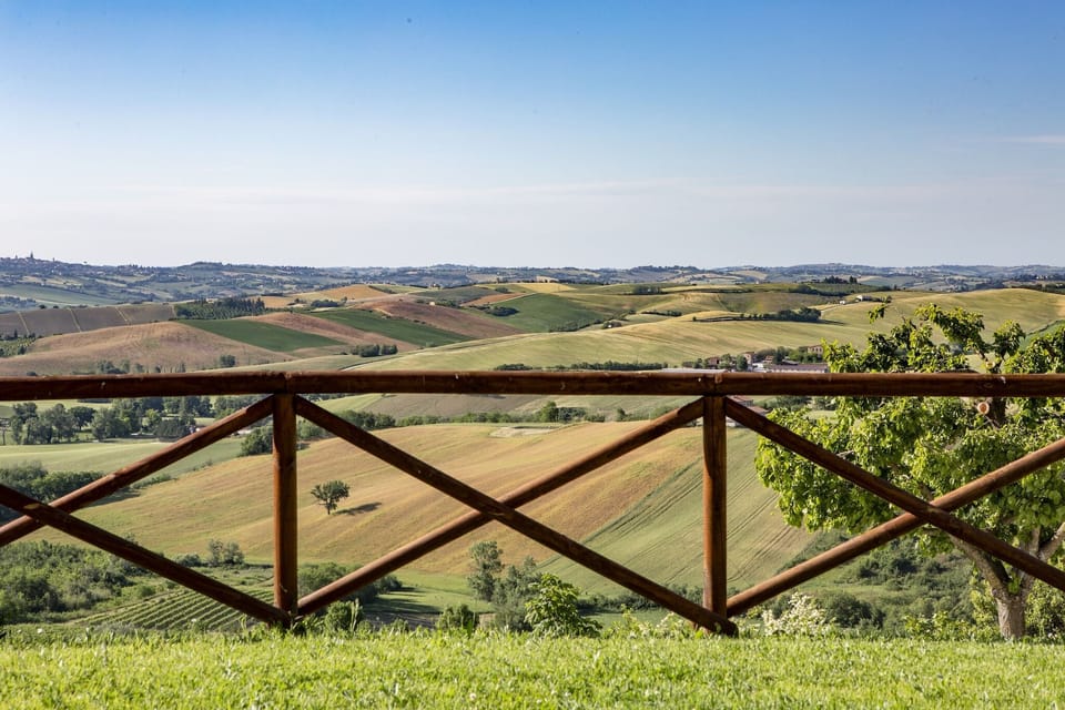 View from Holiday Home [summer]