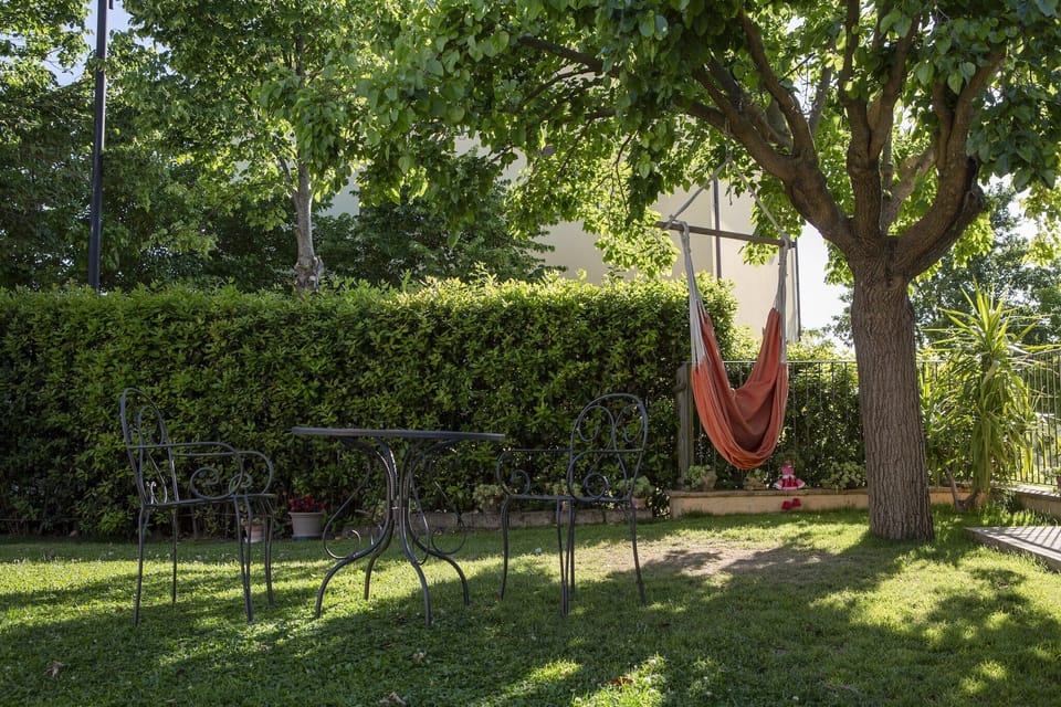 Garden [summer]