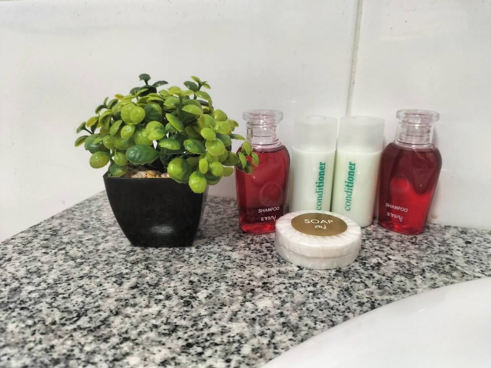 Shower, free toiletries, hair dryer, towels