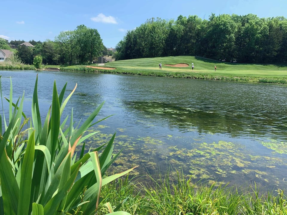 View of the golf course