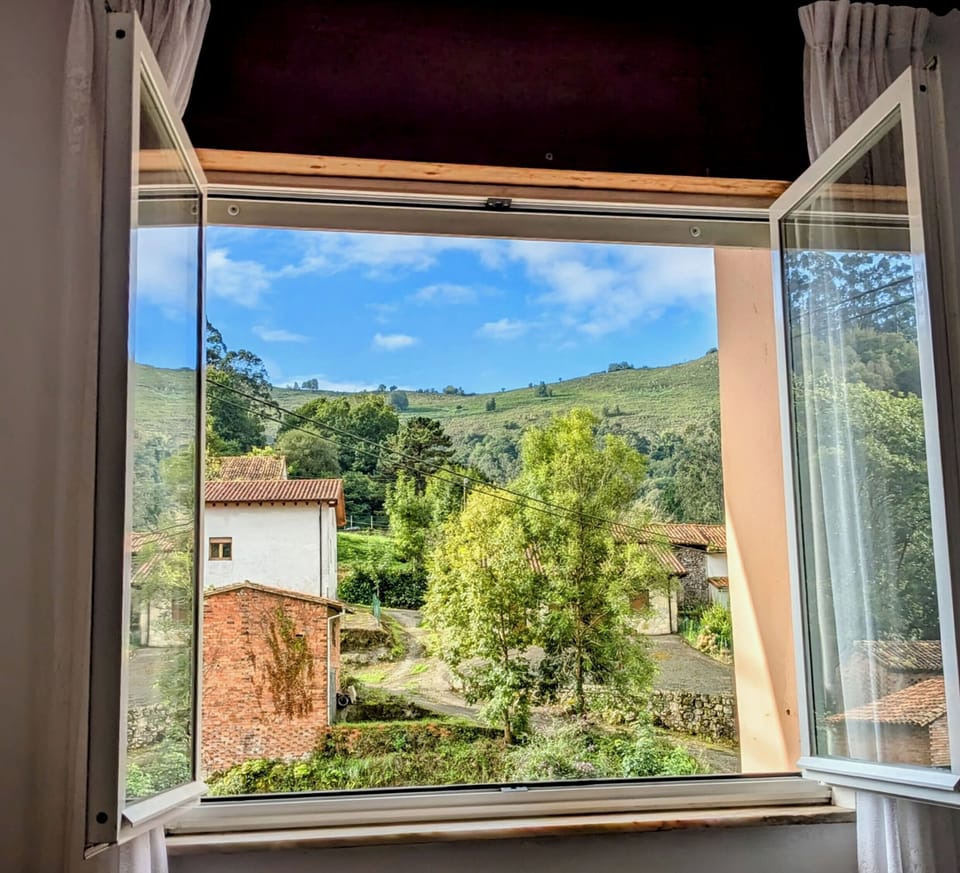 green open views